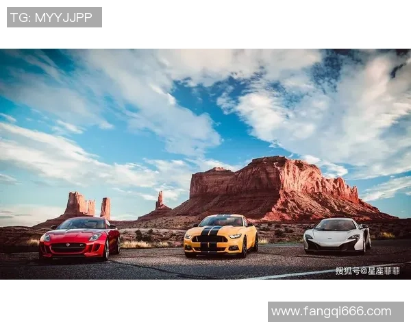 狮子座足球明星：这些星座下的球王们如何在赛场上展现王者风范