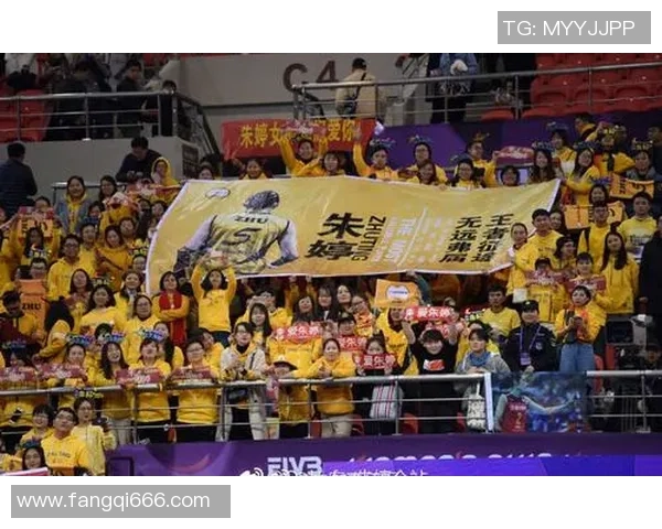 足球明星背后的大牌迷妹们她们如何为爱加油助威